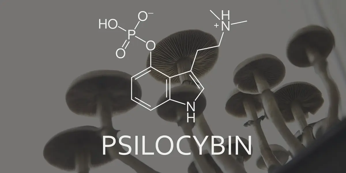 Psychedelic Compound Psilocybin Shows Promise in Treating Chronic Pain and Depression