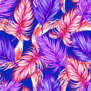 pp (151)
