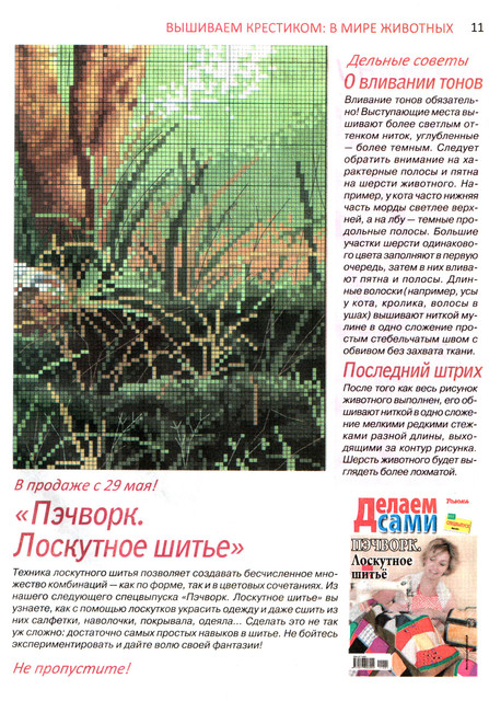 scan-11