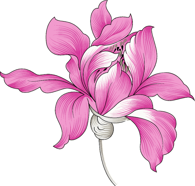a8f05ff8a0d7fb4dd2ab401543e67194.png
