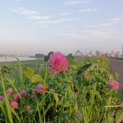 2011-06-29-47