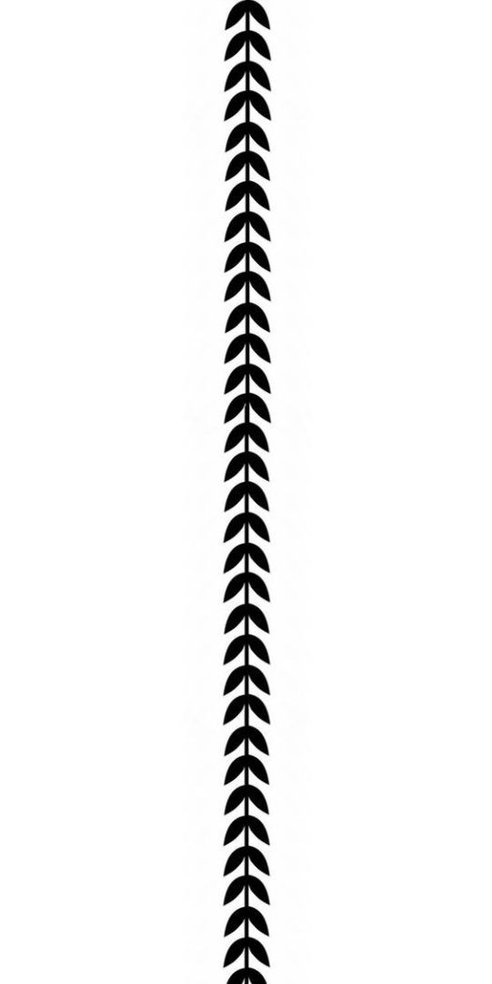 f62e2a6a1bc2f86c0948147393e9cbd7.png