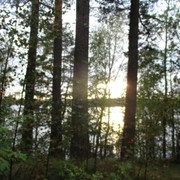 IMG-9903