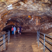 L1013463