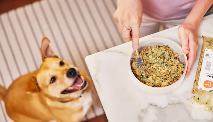 Dog Fullness Factors: Food Volume and Water Content
