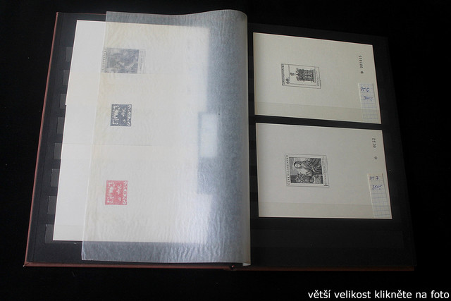 IMG-2355.jpg