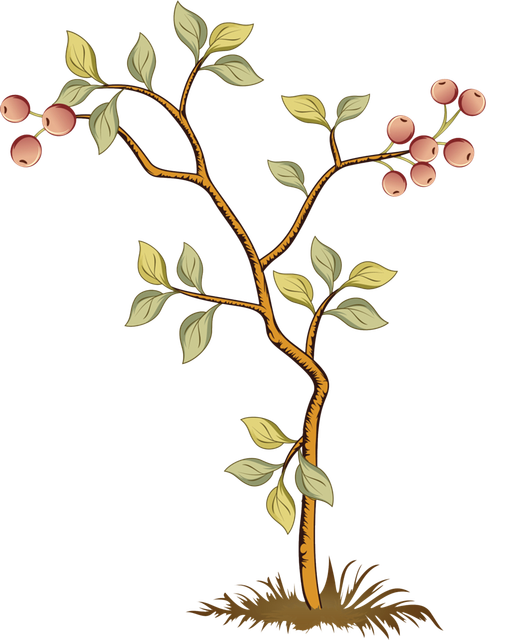 e61adfd17f9098fdb245478a30f6db6c.png