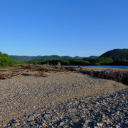 DSC06129