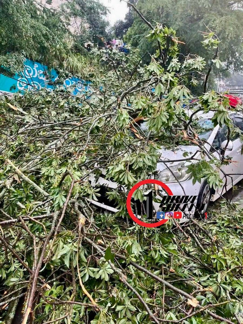 A tree falls on several vehicles on the road near the Kandy railway station