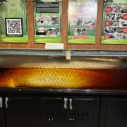 Terengganu State Museum3