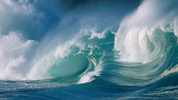 IMG-3386.jpg