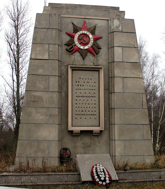 https://i.ibb.co/KjhjpSm2/image.jpg