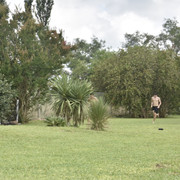 EMA7585