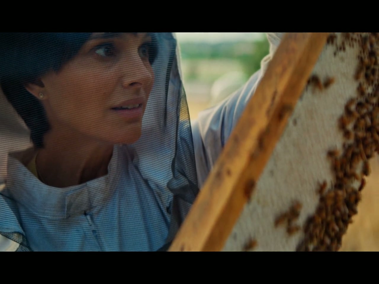 Lucy in the Sky Screenshot