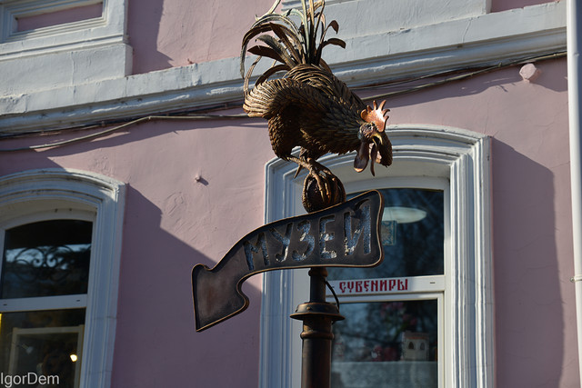 DSC8630.jpg