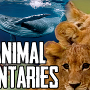 Animal-Documentaries
