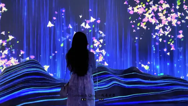 三角梅科博园9.webp