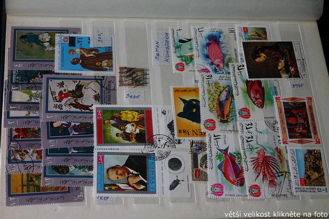 IMG-3768.jpg