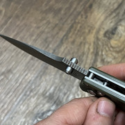 https://i.ibb.co/KjsGhqD/IMG-4591.jpg