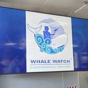 71