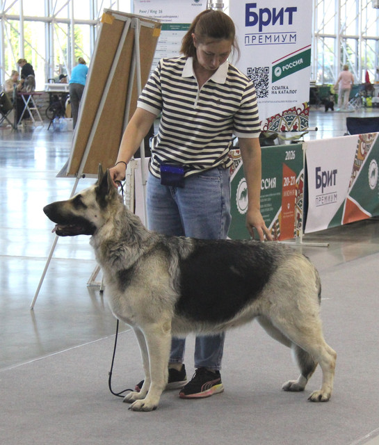 https://i.ibb.co/KjtThc45/IMG-1222.jpg