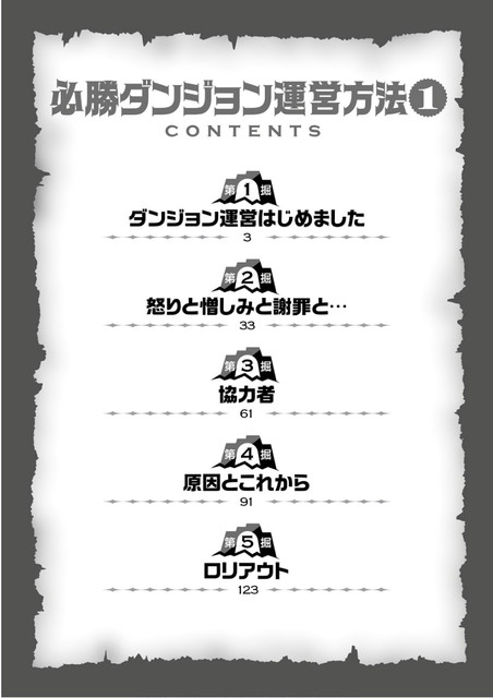 DLRAW-NET-0004