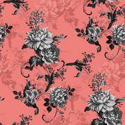 Shutterstock Allover (7)
