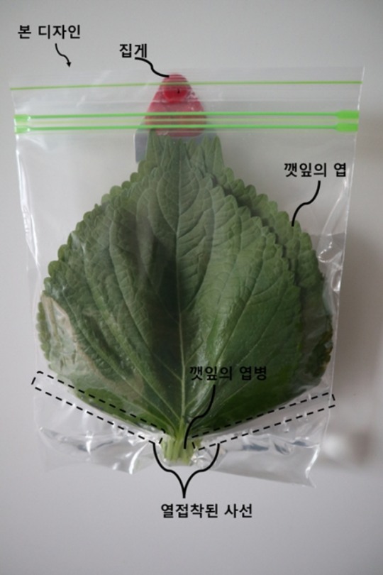 깻잎순볶음 보관법