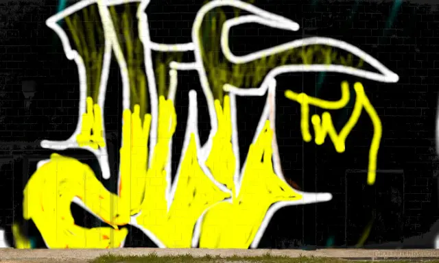 Graffiti artwork by ACE