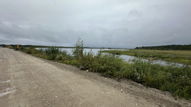 IMG 5006.jpg