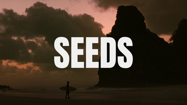 SEEDS