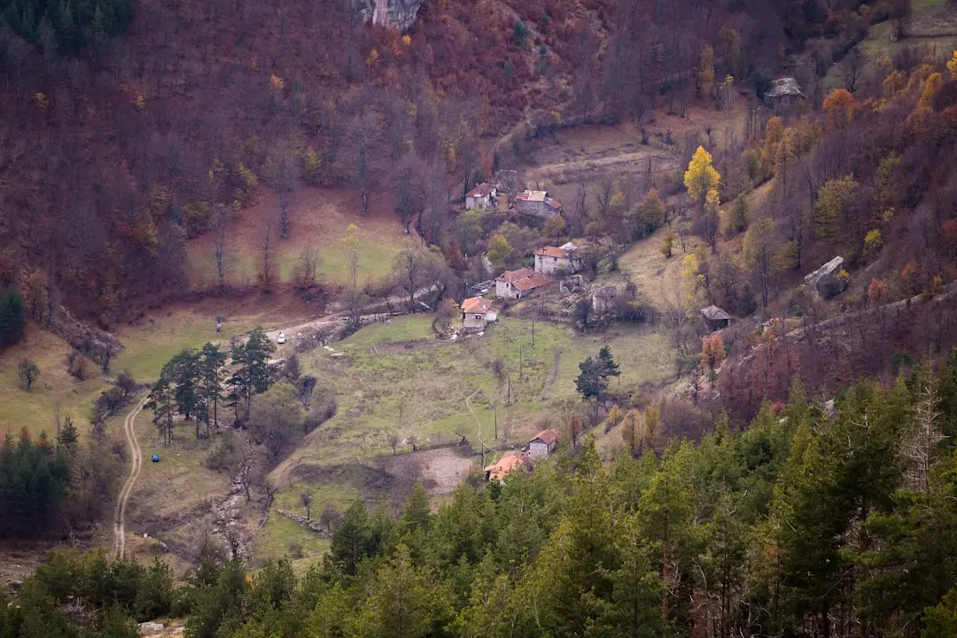 Acoperișul casei: Când e momentul pentru reparații și când trebuie înlocuit complet