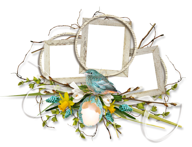 cluster-frame-55
