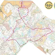 rganim1682274705