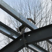 IMG-1291