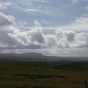 DSCF9073