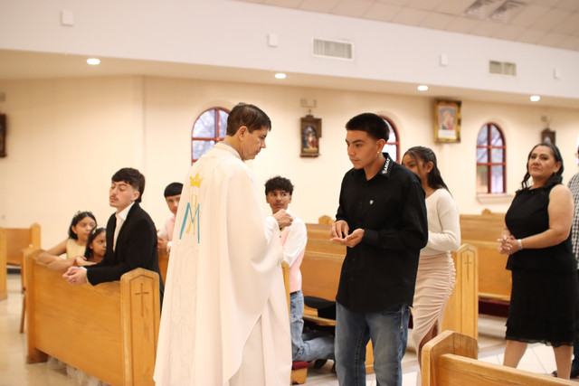 IMG-8528