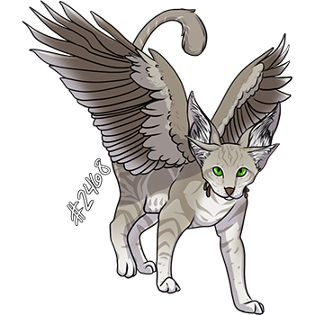 Pet Image