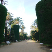 DSC-6803