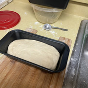 IMG-2372