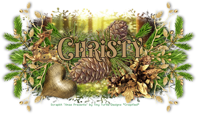 Christy CM5Presents B.png
