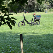 IMG-9964
