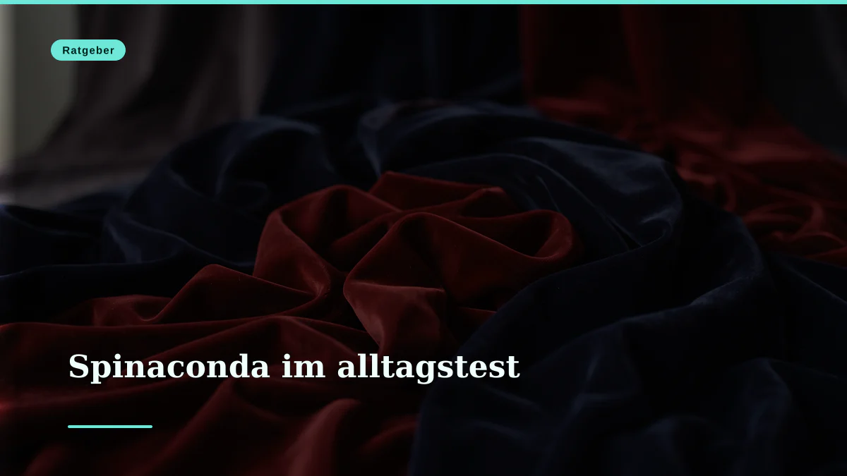 Spinaconda im alltagstest