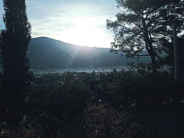 IMG 20260926 081835.jpg