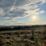 IMG 0410