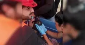 Cat Rescued from Earthquake Debris After Almost a Month in Venezuela