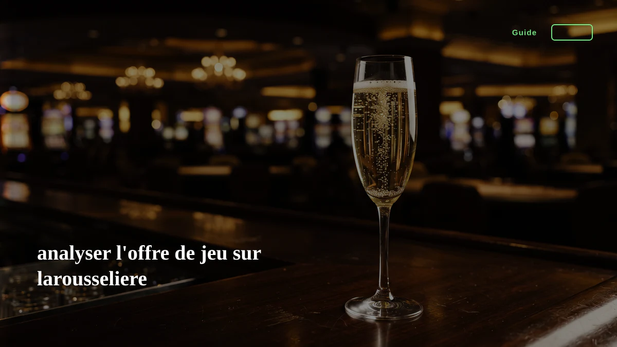 analyser l'offre de jeu sur larousseliere