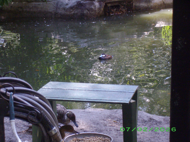 IMGP2785.jpg