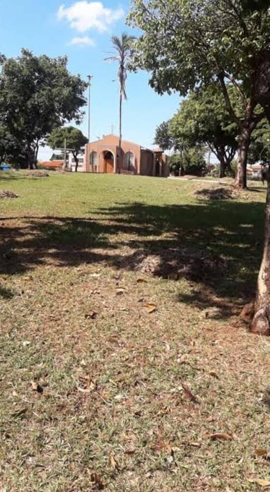 Sebrae-SP abre inscrições para curso de agentes locais de inovação rural com bolsas de até R$ 6,5 mil