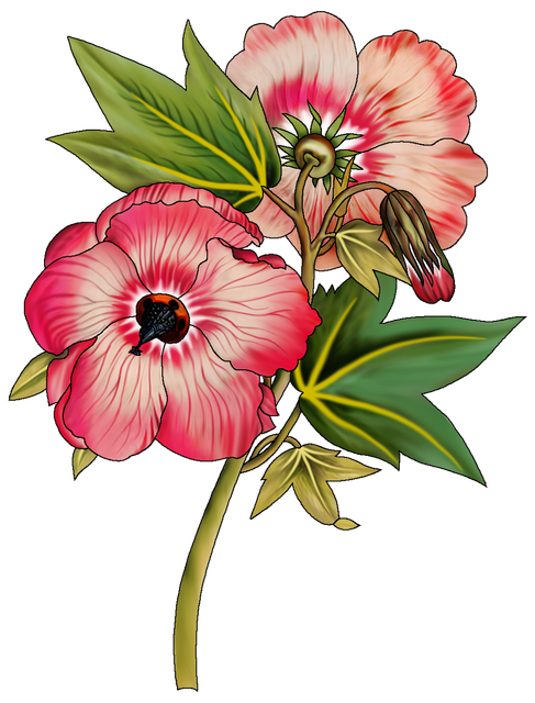 1bfd6e1c8fbd2eeb8727a666aaf9318e.png